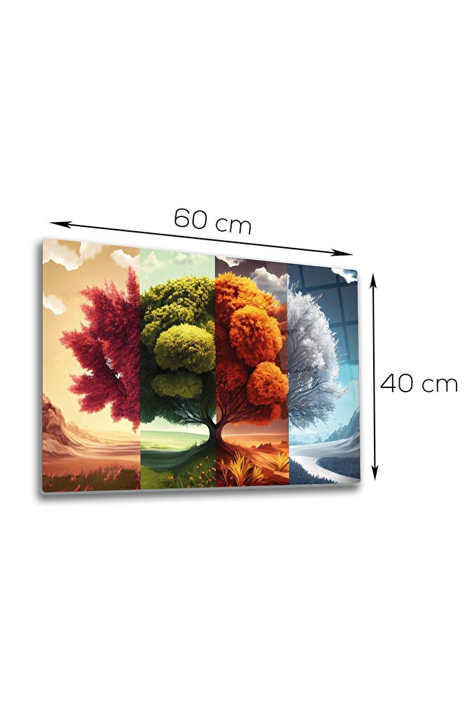 Cam Tablo | Four Season - İklim Ağacı | 40cm x 60cm