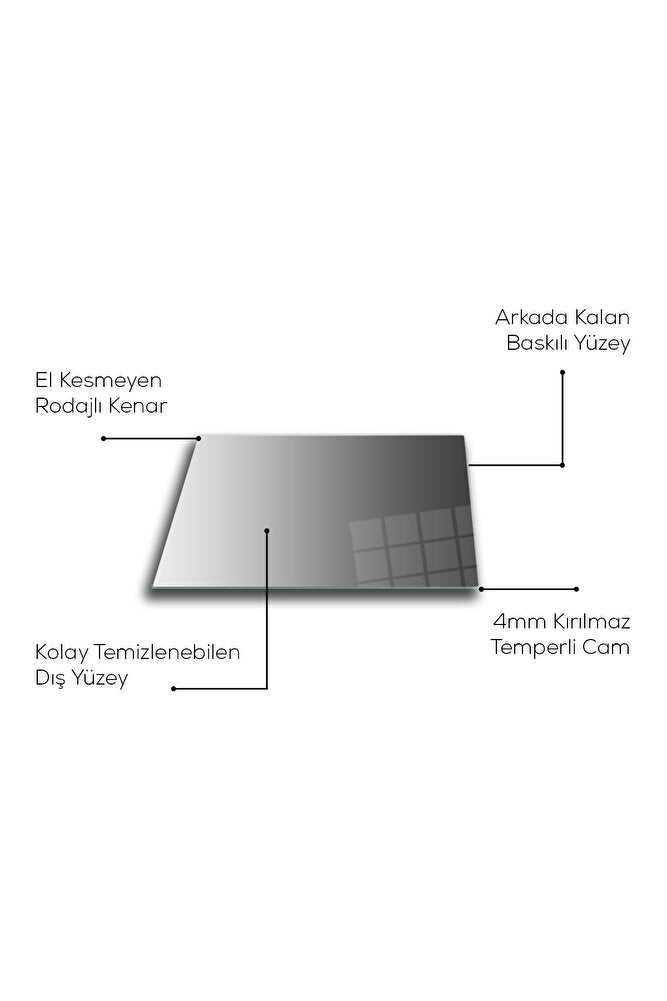 Cam Tablo | Four Season - İklim Ağacı | 50cm x 70cm
