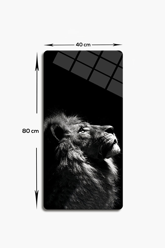 Cam Tablo | Modern Art Serisi | Black-White Lion | 3'lü Takım | 40cm x 80cm