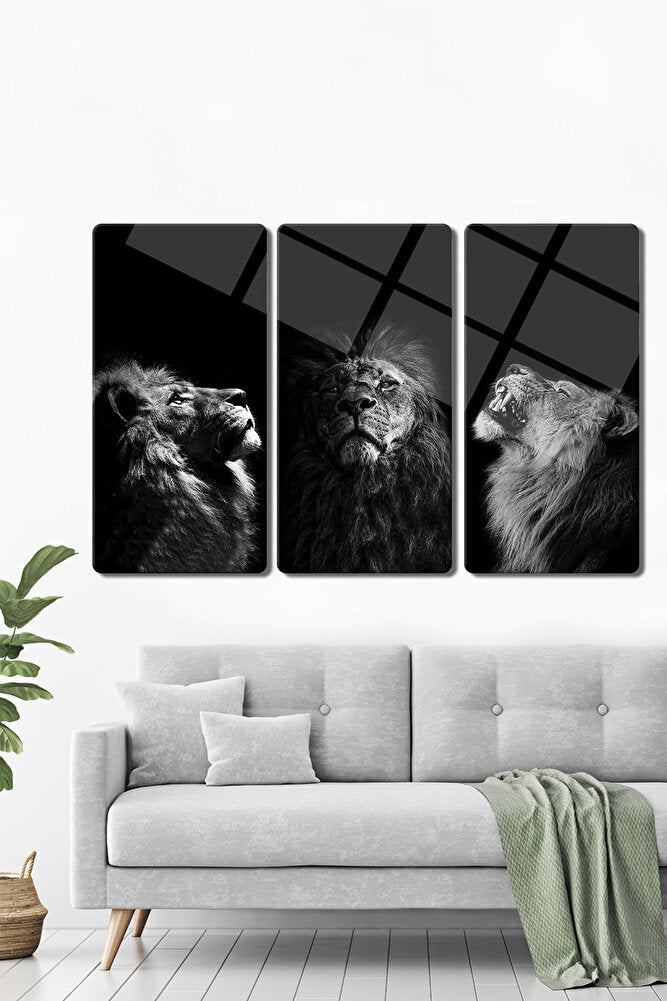 Cam Tablo | Modern Art Serisi | Black-White Lion | 3'lü Takım | 40cm x 80cm