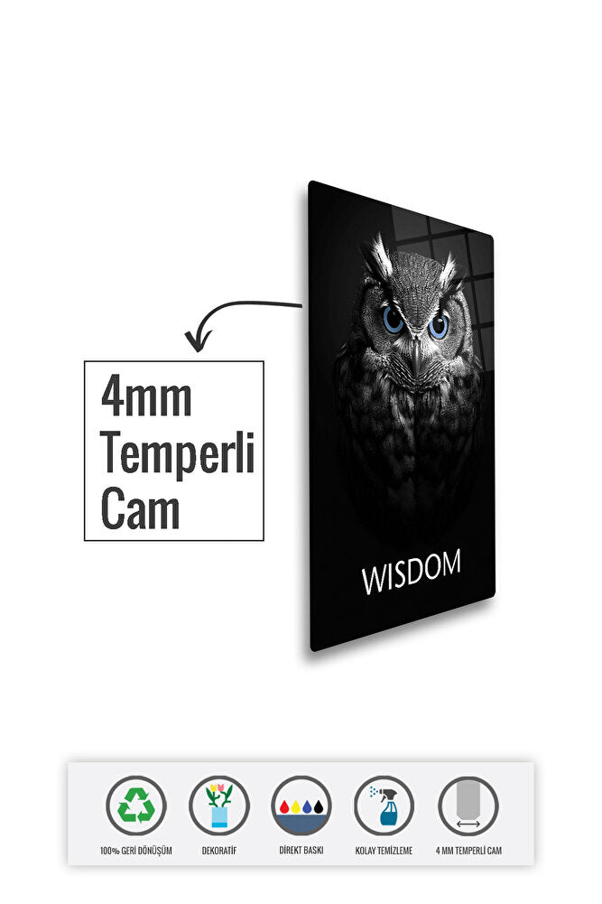Cam Tablo | Motivasyon Serisi | Motivation Team | 5'li Takım | 20cm X 30cm